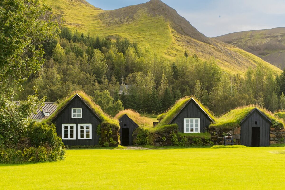 about-06 Explore the charm of traditional Icelandic turf houses surrounded by lush greenery and rolling hills.