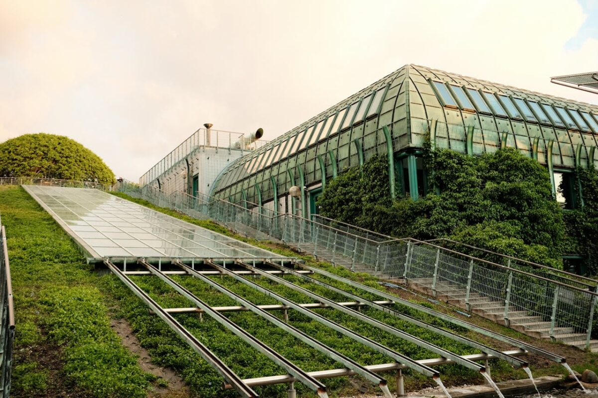 Modern eco-friendly building with a lush green roof and innovative architecture design.